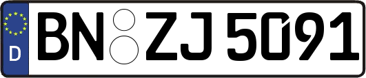BN-ZJ5091