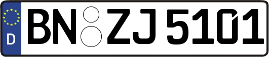 BN-ZJ5101