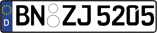 BN-ZJ5205