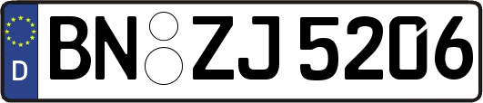 BN-ZJ5206