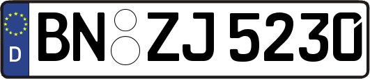 BN-ZJ5230
