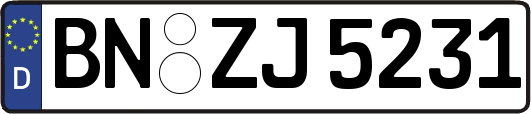 BN-ZJ5231