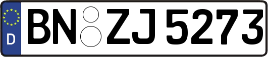 BN-ZJ5273