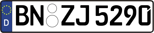 BN-ZJ5290