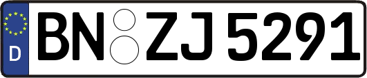 BN-ZJ5291