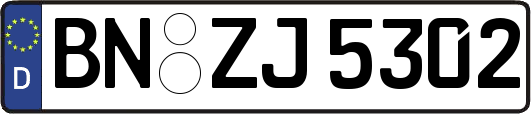 BN-ZJ5302