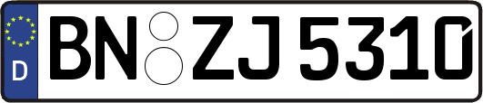 BN-ZJ5310