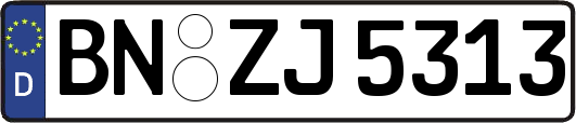 BN-ZJ5313