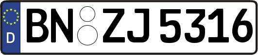 BN-ZJ5316