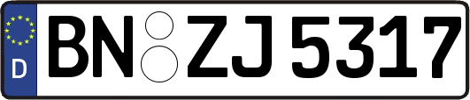 BN-ZJ5317