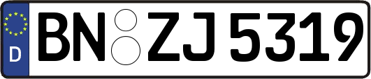 BN-ZJ5319