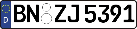 BN-ZJ5391