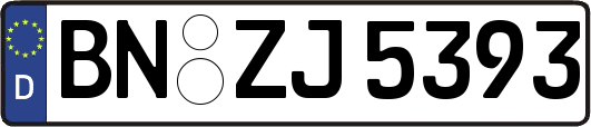 BN-ZJ5393