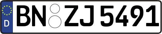 BN-ZJ5491