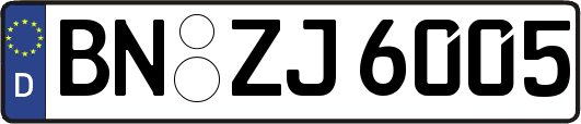 BN-ZJ6005
