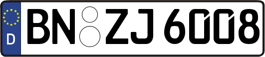 BN-ZJ6008