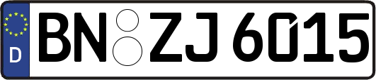 BN-ZJ6015