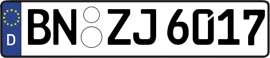 BN-ZJ6017