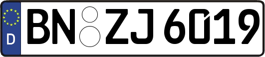 BN-ZJ6019