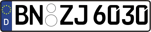 BN-ZJ6030