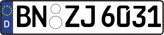 BN-ZJ6031