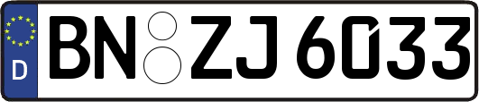 BN-ZJ6033