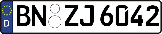 BN-ZJ6042