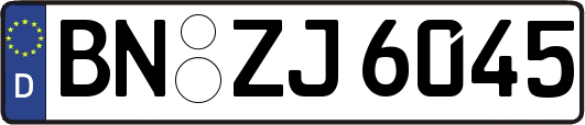 BN-ZJ6045