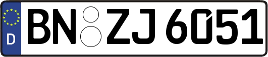 BN-ZJ6051