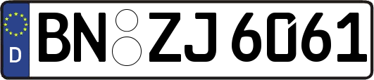 BN-ZJ6061