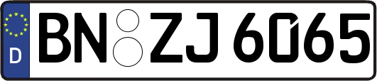 BN-ZJ6065