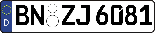 BN-ZJ6081