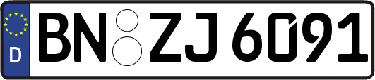 BN-ZJ6091