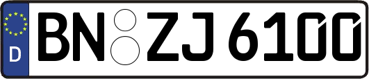 BN-ZJ6100