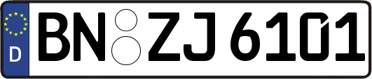 BN-ZJ6101