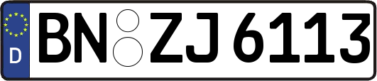 BN-ZJ6113