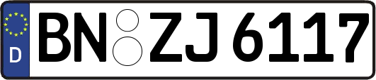 BN-ZJ6117