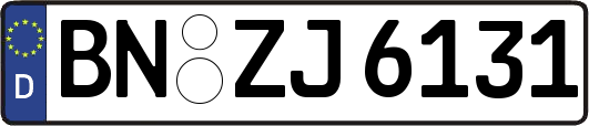 BN-ZJ6131