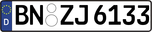 BN-ZJ6133