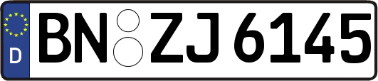 BN-ZJ6145