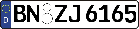 BN-ZJ6165