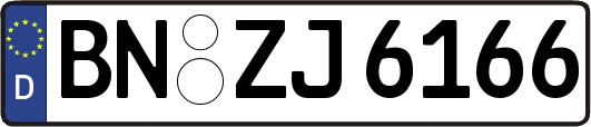 BN-ZJ6166
