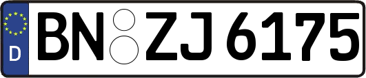 BN-ZJ6175