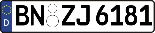 BN-ZJ6181