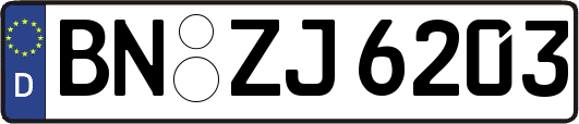BN-ZJ6203