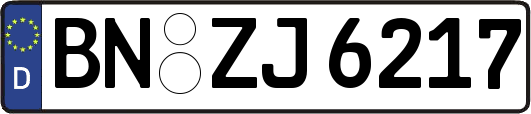 BN-ZJ6217