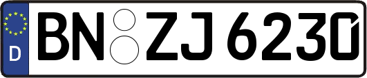BN-ZJ6230