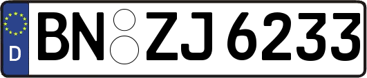 BN-ZJ6233