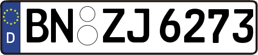 BN-ZJ6273