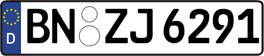 BN-ZJ6291